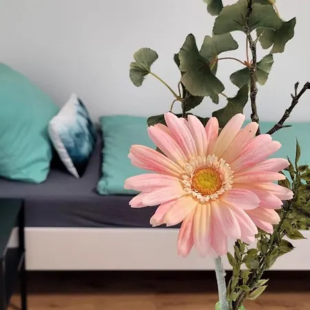 Fischer 3 - Moderne Monteurs- & Mit 3 Schlafzimmern - Neu Renoviert *